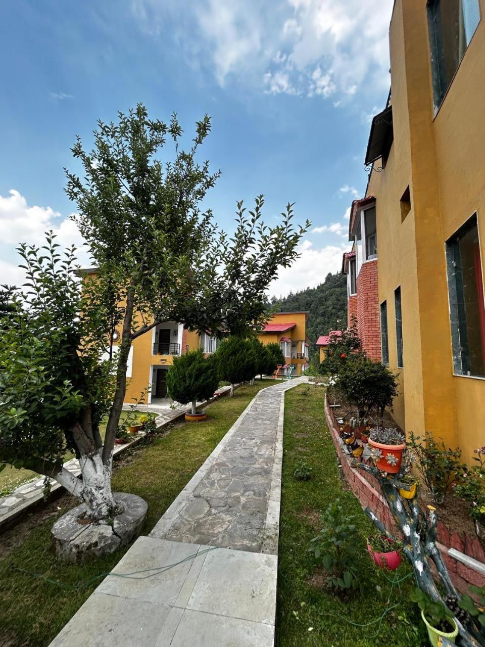 Mist N Meadows Resort Rājgarh Extérieur photo